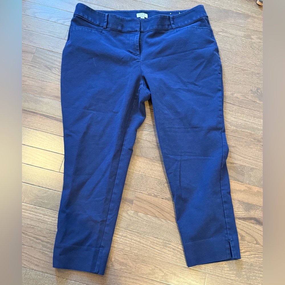LOFT Plus Deep Blue Pants